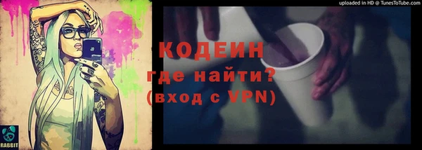 дживик Бородино
