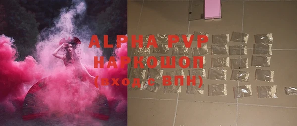 СК Бронницы