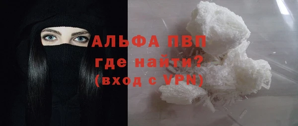 СК Бронницы