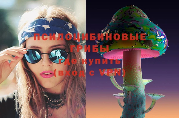 СК Бронницы