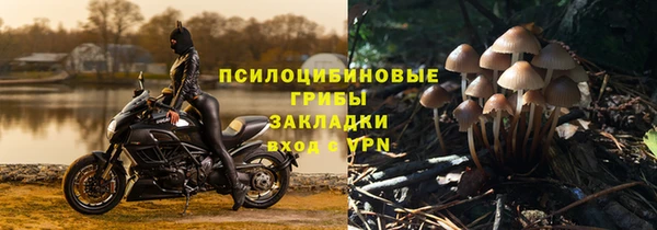 СК Бронницы